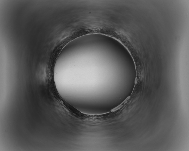 X0000088391253200705221107