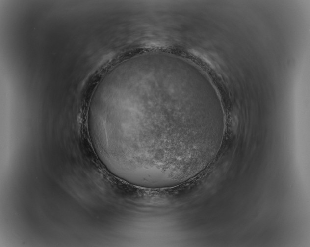 X0000088391254200705221107