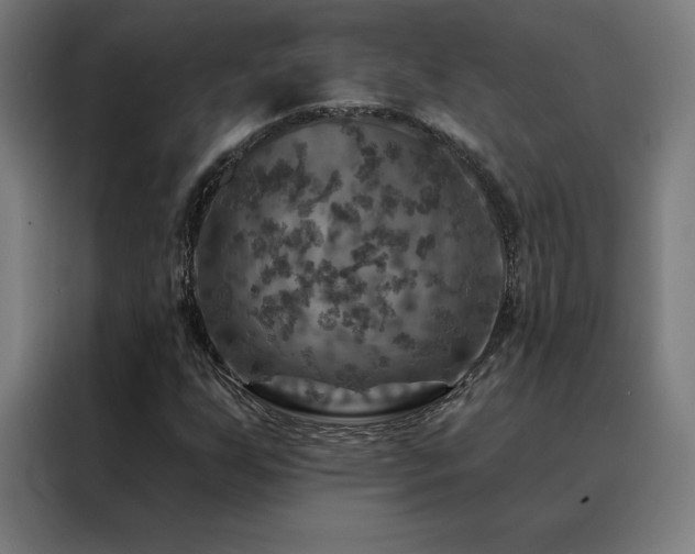 X0000088391255200705221107