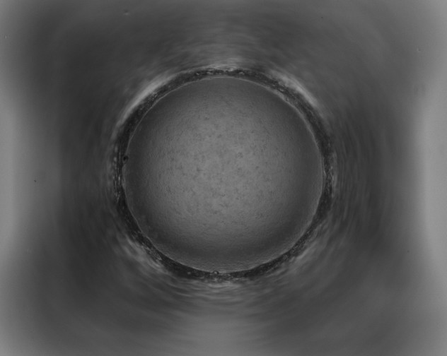 X0000088391256200705221107