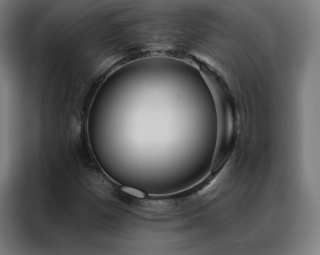 X0000088391257200705221107