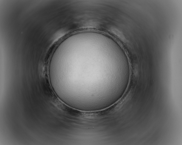 X0000088391258200705221107