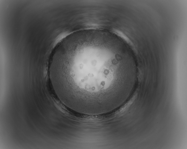 X0000088391259200705221107