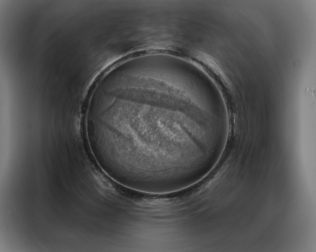 X0000088391260200705221107