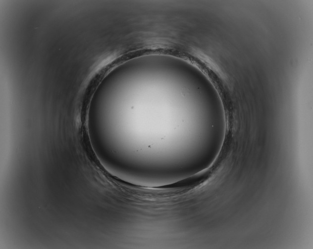 X0000088391261200705221107