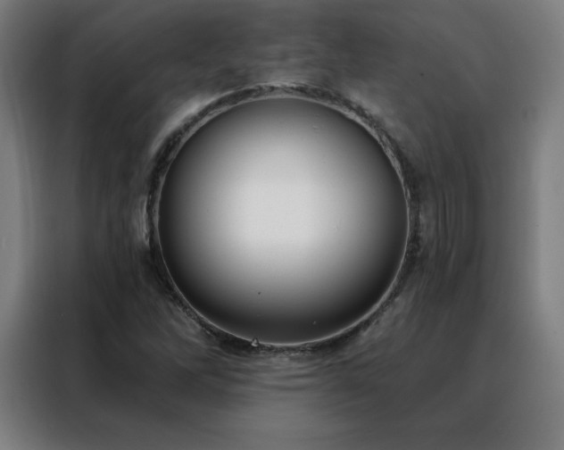 X0000088391262200705221107