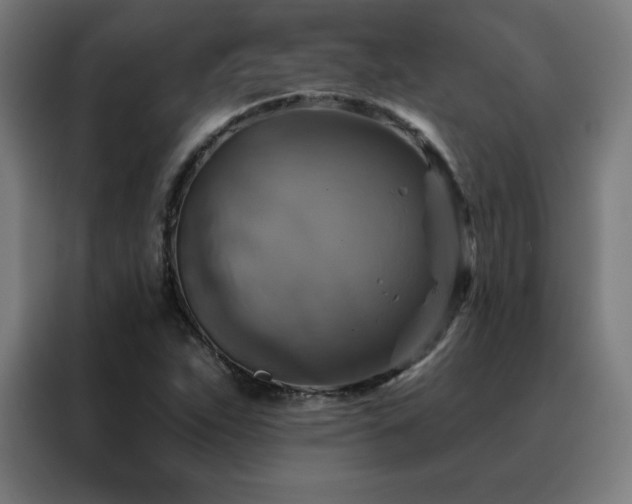 X0000088391263200705221107