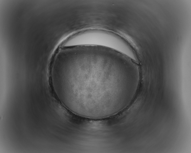 X0000088391264200705221107