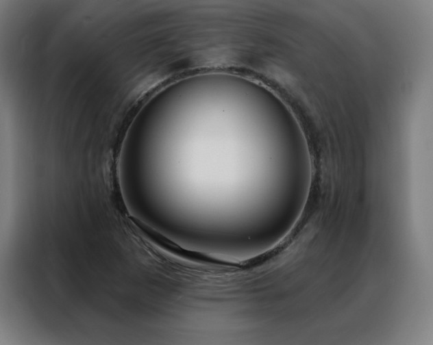 X0000088391265200705221107