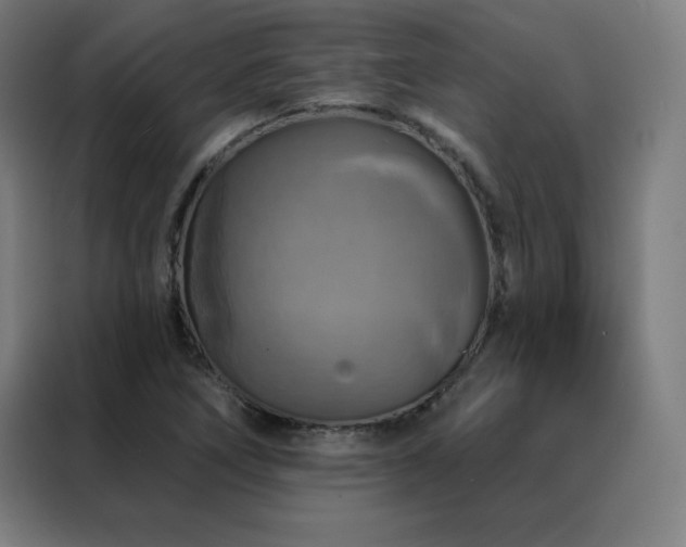 X0000088391266200705221107