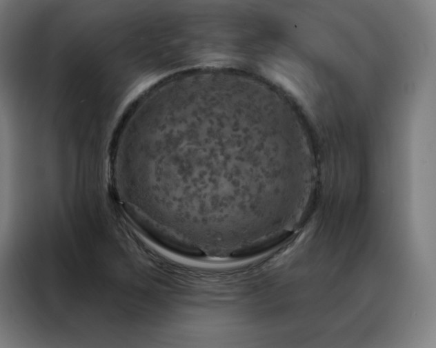 X0000088391267200705221107