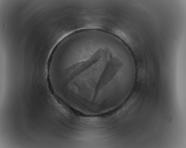 X0000088391268200705221107