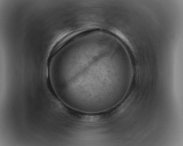 X0000088391269200705221107