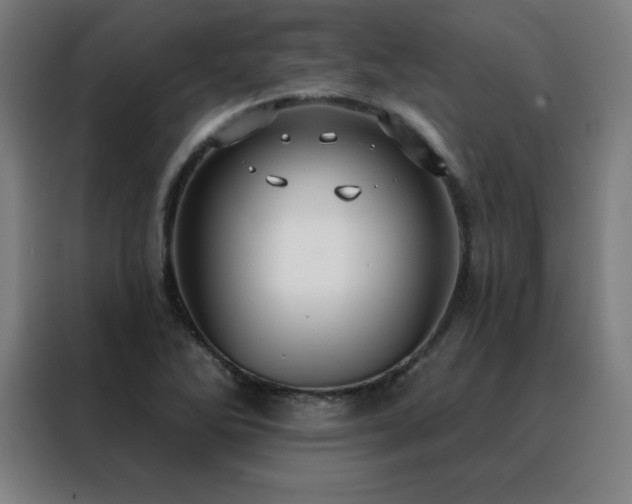 X0000088391270200705221107