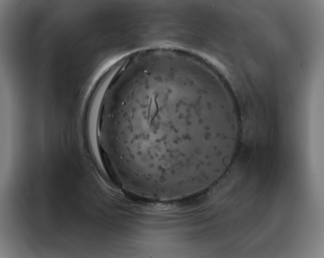 X0000088391271200705221107