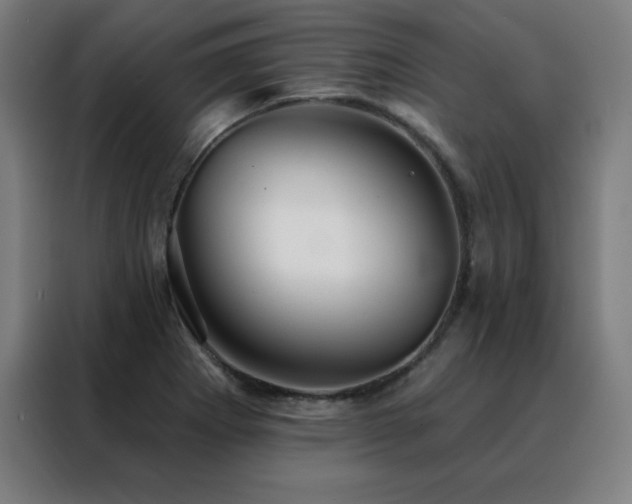 X0000088391273200705221107