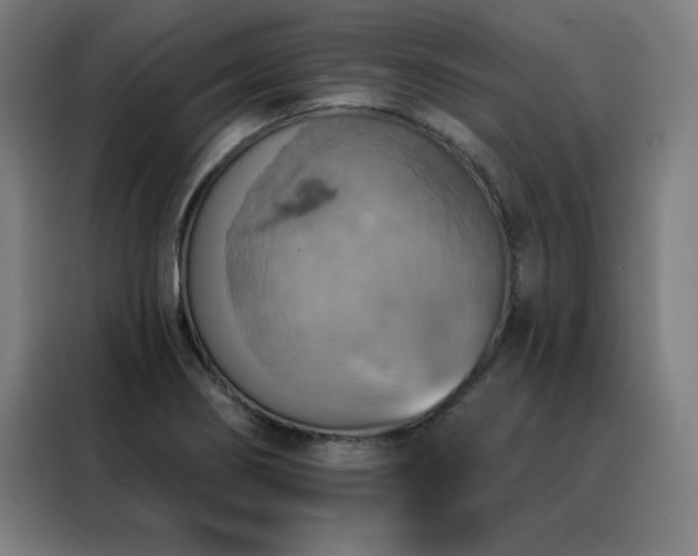 X0000088391274200705221107