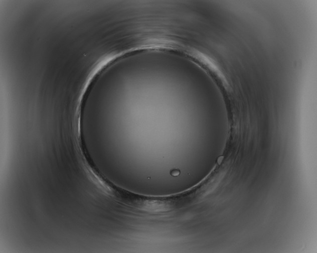 X0000088391275200705221107