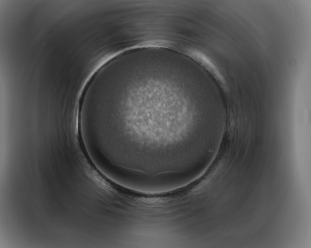 X0000088391276200705221107