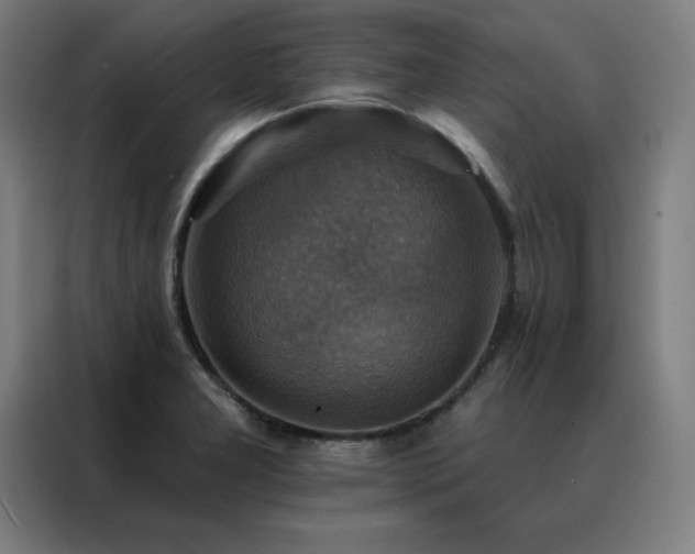 X0000088391277200705221107