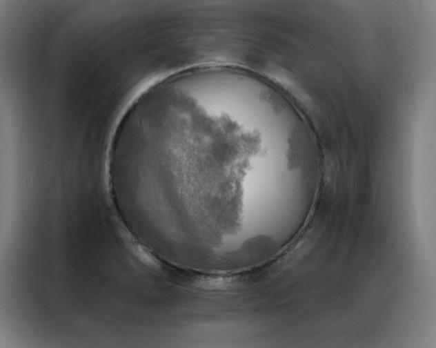 X0000088391278200705221107