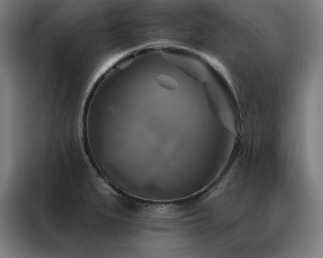 X0000088391279200705221107