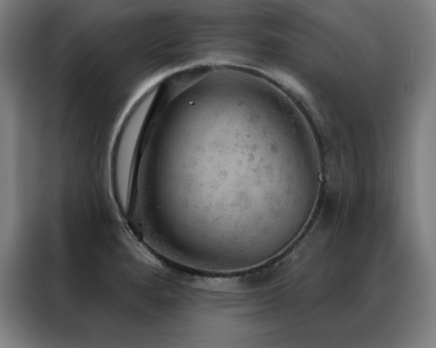 X0000088391280200705221107