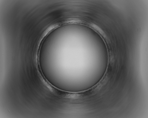 X0000088391282200705221107