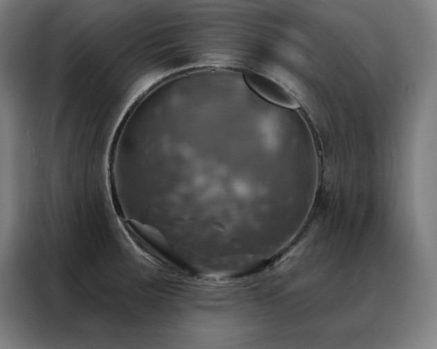 X0000088391283200705221107