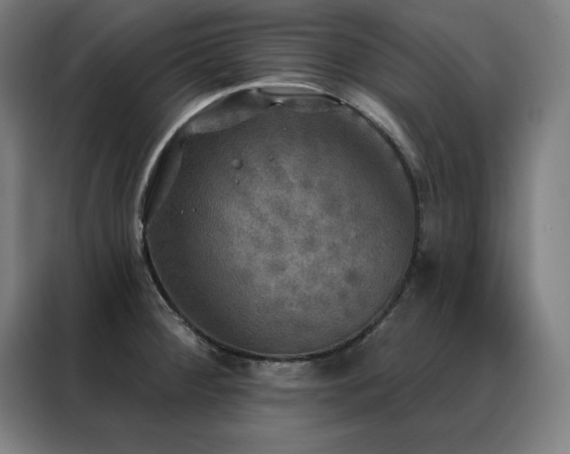 X0000088391284200705221107