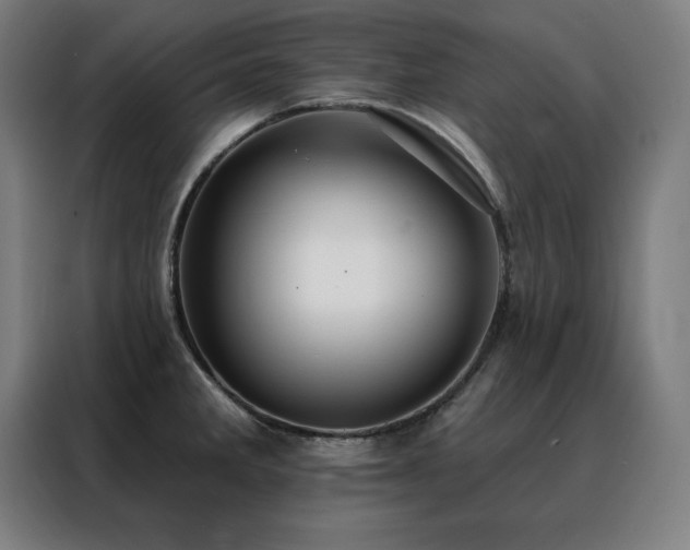 X0000088391285200705221107