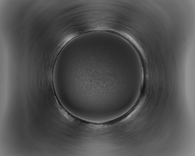 X0000088391289200705221106