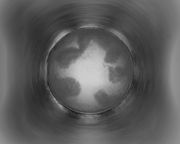 X0000088391290200705221106