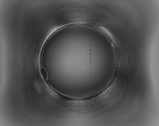 X0000088391291200705221106