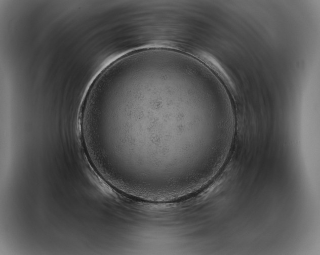 X0000088391292200705221106