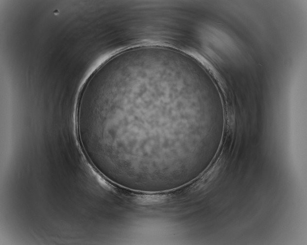 X0000088391294200705221106