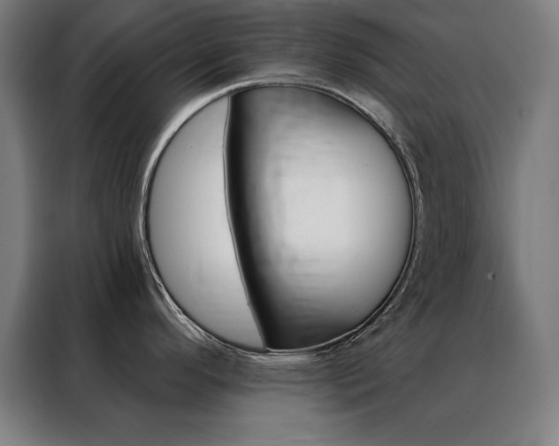 X0000088391296200705221106