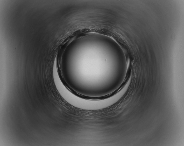 X0000088391298200705221106