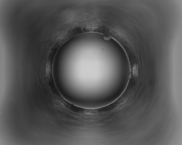 X0000088391299200705221106