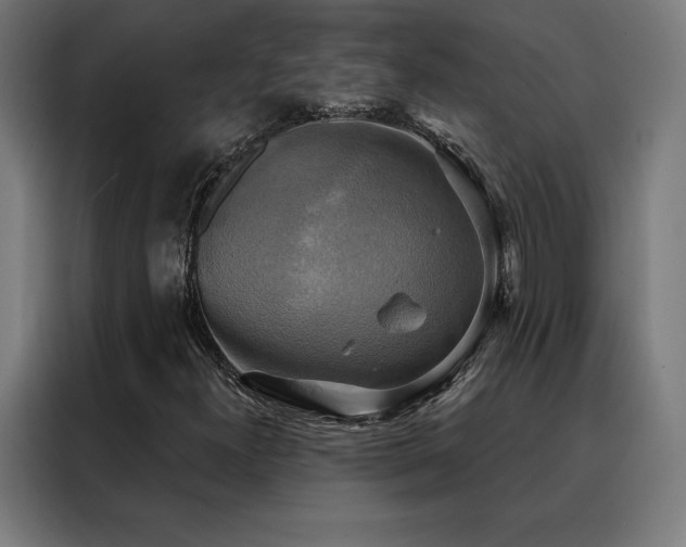 X0000088391300200705221106