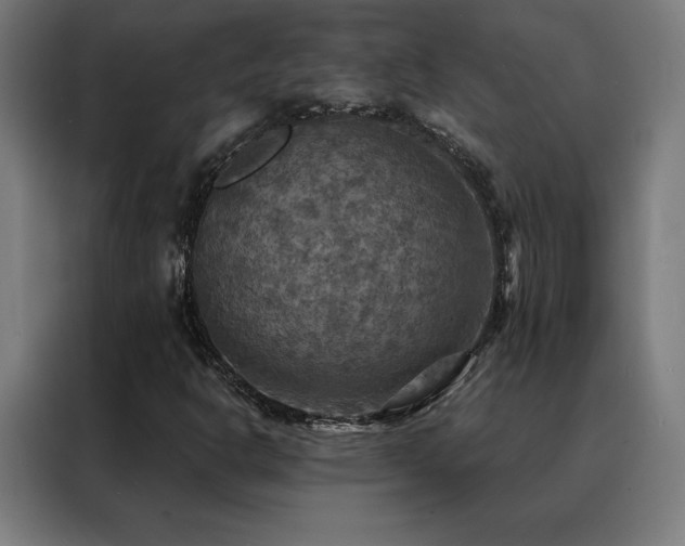 X0000088391302200705221106