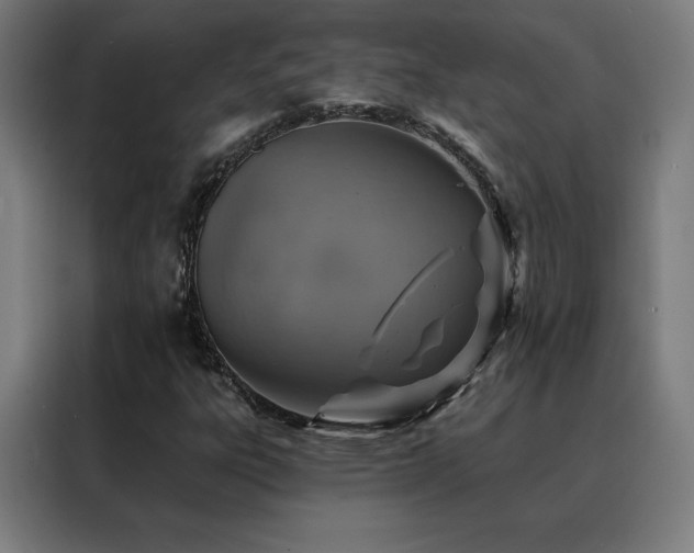 X0000088391303200705221106