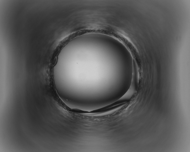 X0000088391304200705221106