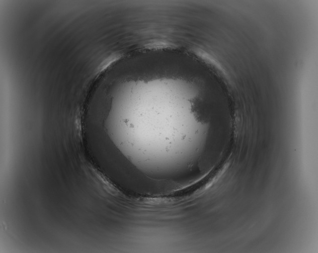 X0000088391305200705221106