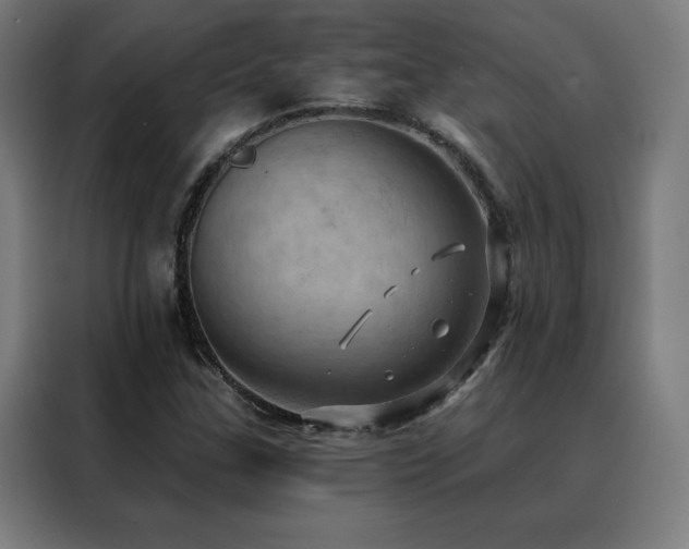 X0000088391307200705221106