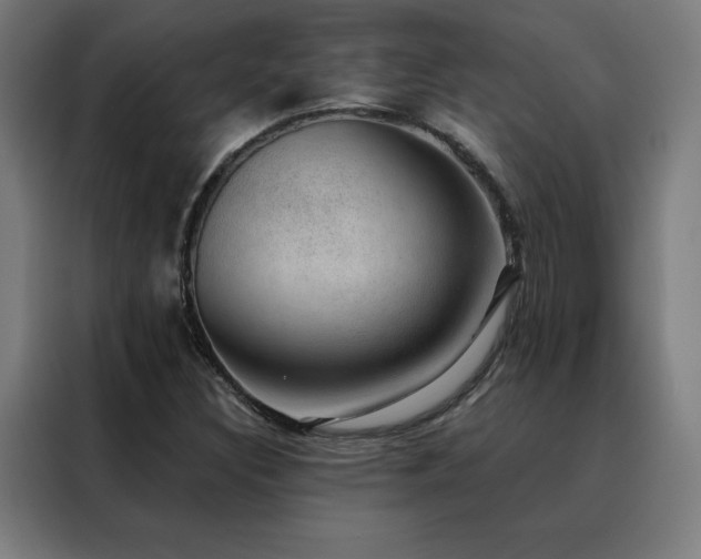 X0000088391308200705221106