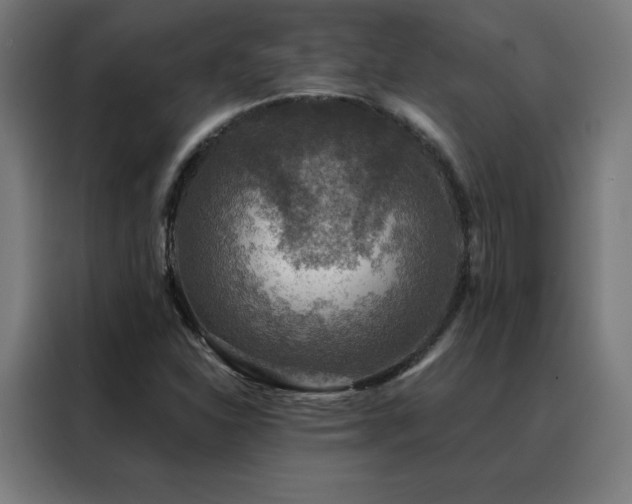 X0000088391310200705221106