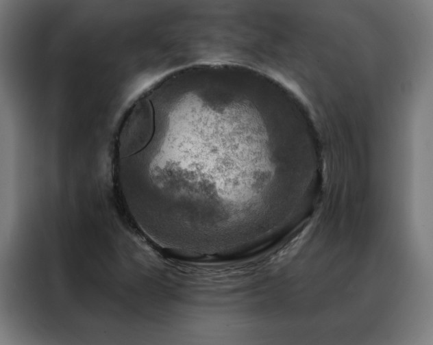 X0000088391311200705221106