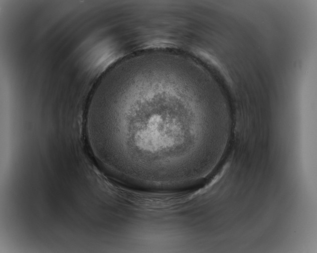 X0000088391313200705221106