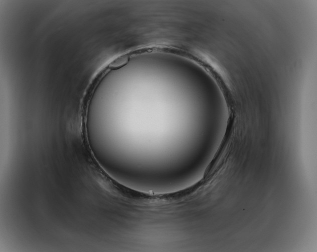 X0000088391316200705221106